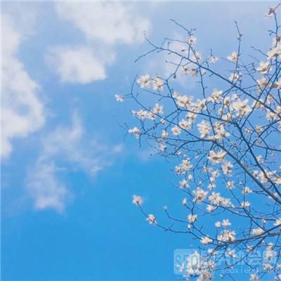 传奇无双手游移动版下载