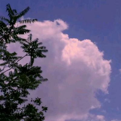 像素大战争2游戏下载