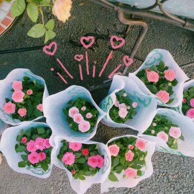 天行道之伏妖异闻录手游(暂未上线)v7.2.0 安卓最新版