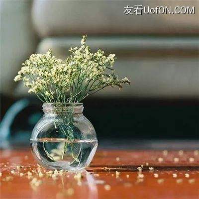 迷你世界皇家游戏下载